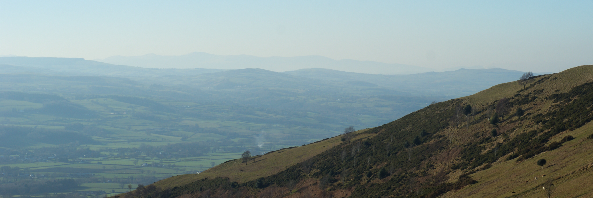 Logo Cronfa Bensiynau Clwyd